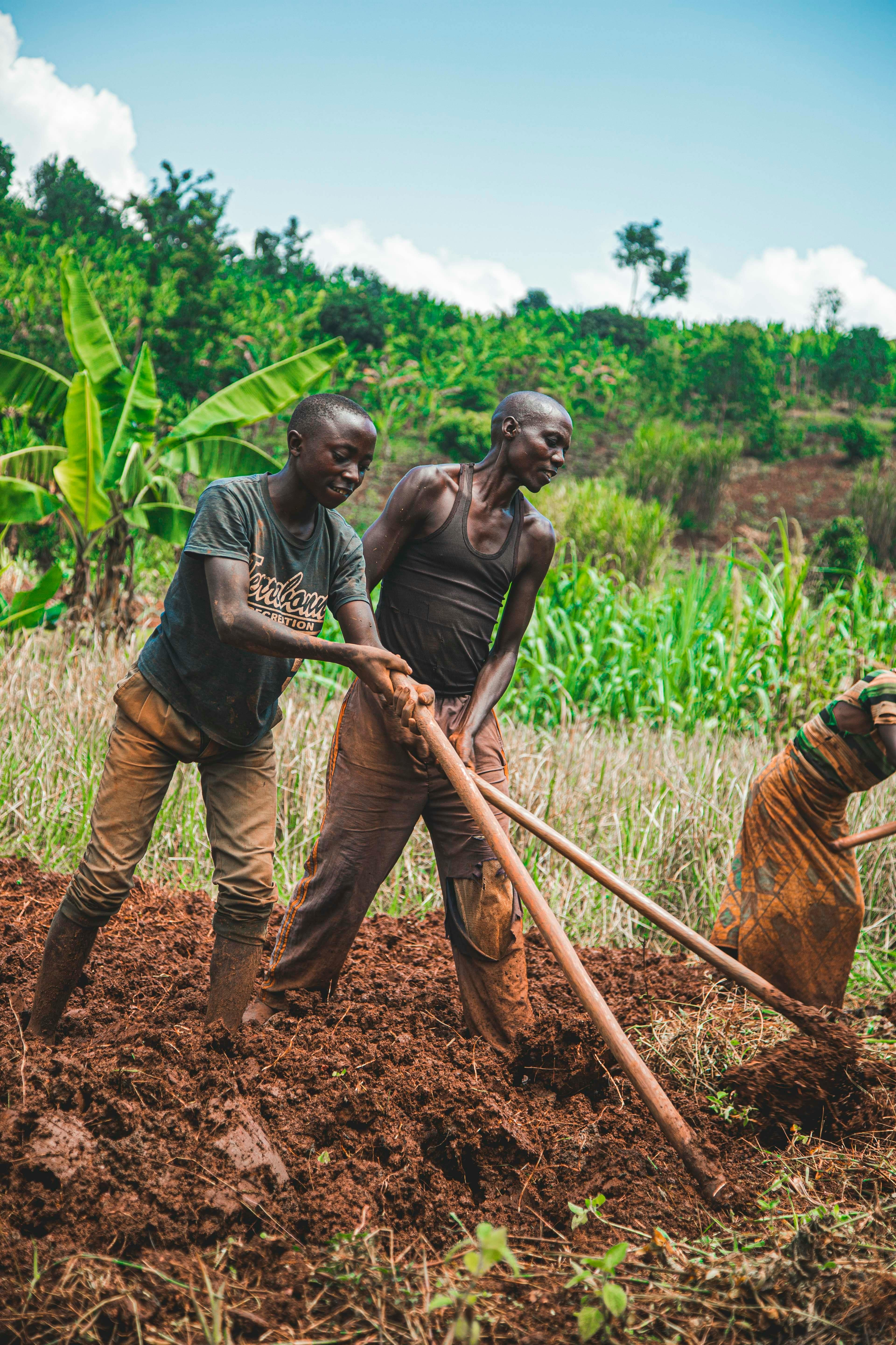 Agriculture